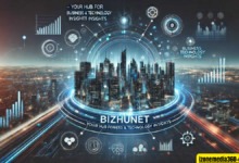 bizhunet